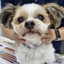 해뜨는 동물병원 이미지