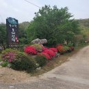 왕피천관광농원 이미지