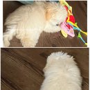 비비안살롱 이미지