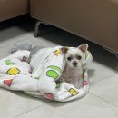 강화도펜션 AND 이미지