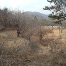 소산농장 이미지