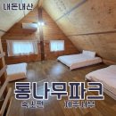 통나무파크 | 내돈내산 아이랑 제주 숙소 도치돌 알파카목장 통나무파크