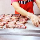 팡팡애견 이미지