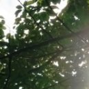 팔도물산 주식회사 | 2015년 11월 모의고사 한국사 문제풀이 11-20 난이도