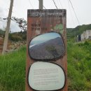 성실한청년목수 이미지
