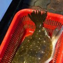 산희네횟집 이미지