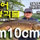 아붕 이미지