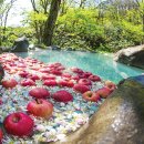 도시로 떠나는 문학여행 이미지