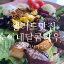 동해맛집 샐러드가 땡길때!!! 순이네 달콤하우스 (마카롱도 맛있어요! ) 내돈내사 후기