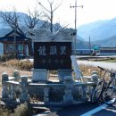 국도5호선 가로수길(의성) | [전라남도 구례군] 용두마을
