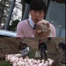 신원철농장 엑스포츠뉴스