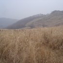 만세IC교