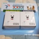 퍼피멍멍 이미지