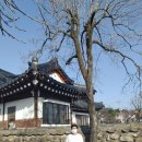 영화방앗간 이미지