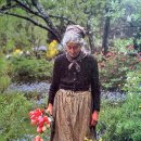 타샤의정원 이미지