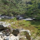 서출동류 물길 트레킹 길 이미지