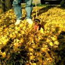 시몬주유소 이미지