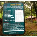 정암샘 티스토리