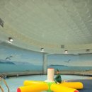 에어 스포렉스 이미지