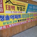 숙이김밥
