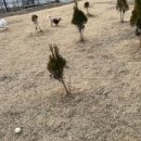 돌봐줄개 이미지