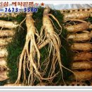 금산인삼집 - 공주시 | 금산인삼집