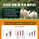 삼우광고