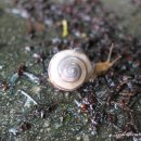 늑도마을회관 이미지