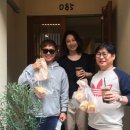 장미여관 이미지