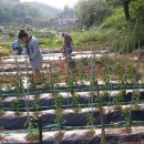 벼리농장 이미지