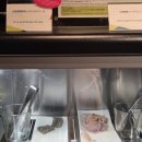 스테이온까망베르 | [북해도] 삿포로 호텔 추천: 크로스호텔 (+2층 라운지 후기) / + 삿포로에서 신치토세공항 가는법