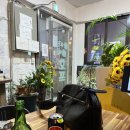 꿩먹고알먹고 | [망원] 꿩먹고알먹고 내 돈 내산 후기/정말 비추입니다/재방문의사 절대X