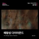 정기연 이미지