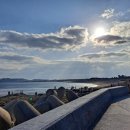 사계올레 이미지