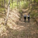 남대문공원 이미지