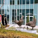 (주)하림 이미지