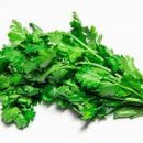 고수1로 이미지