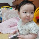 베이크207 이미지