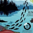 상업용 79 이미지