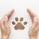 서산동물병원 이미지