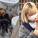 개st하우스 이미지