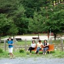 함태초교 이미지