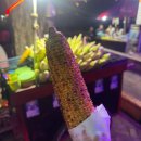웹스 | 길리 트라왕안 뷰맛집 스칼리웹스(Scallywags) 씨푸드 레스토랑