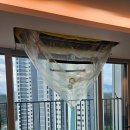 제일풍경채(아) 경로당 | 원주에어컨청소 무실동 제일 풍경채 시스템에어컨 청소 후기