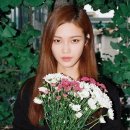 지지컴퍼니