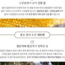 카페봉개
