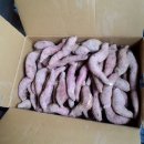 고구마판매합니다
