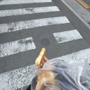 일등떡방앗간 이미지