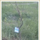 큰산어린이집 이미지