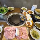 암돼지한판 이미지